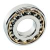 FAG 22213-E1-C3 Thin-Section Ball Bearings #1 small image